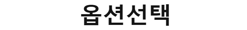 샤이닝 페르시아